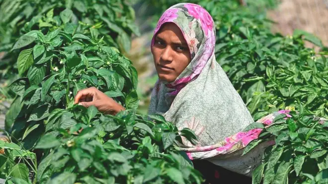 ملکی معاشی، جی ڈی پی