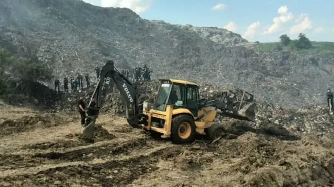 Грибовичі та сміття