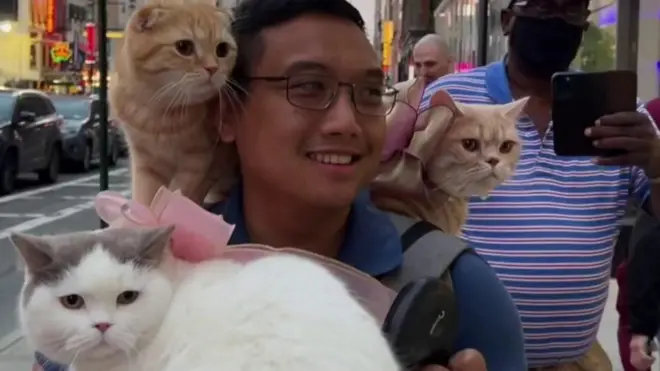 สามเหมียวเที่ยวรอบโลก