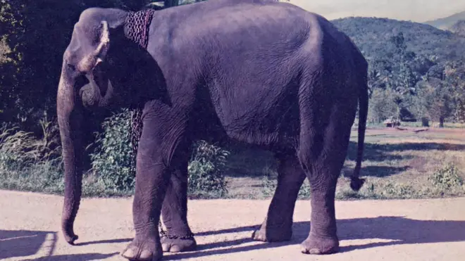 मनिके माझी आवडती होती 