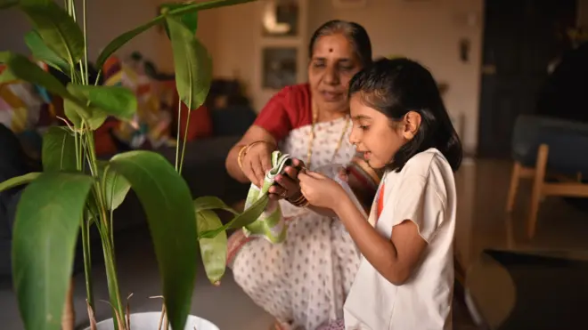 మొక్కలు