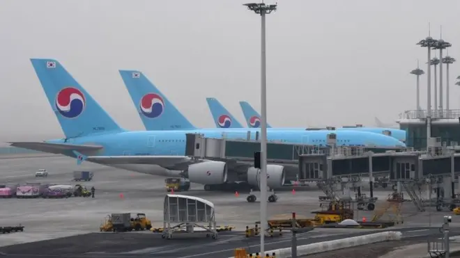 Korean Air planes on the tarmac at the airport