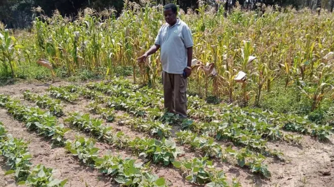 Maharage ya Jesca hayatumiwi kwa mtu au jinsi moja isipokuwa hata watoto wanaweza kutumia ili kuwafanya kukua kiafya na kiakili na kwamba inaongeza pia damu