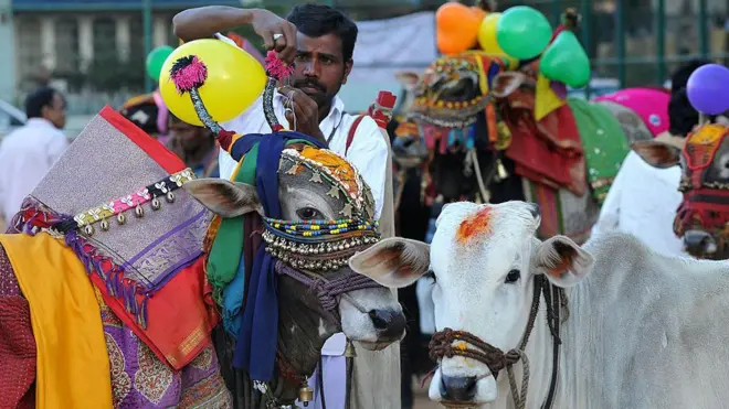 సంక్రాంతి పండగ