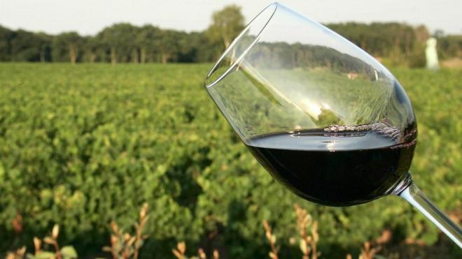 The idea that a vineyard's soil lends a wine its flavour is becoming increasingly popular - but is there any scientific basis?