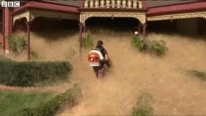 「もじゃもじゃパニック」　豪東南部で