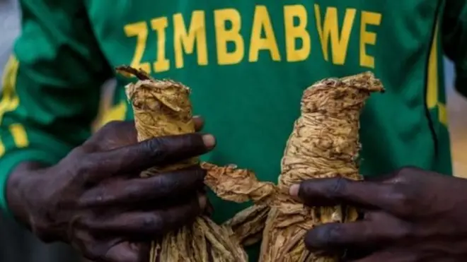 Haaromsi diinagdee Zimbaabuwee guuddisaa jira