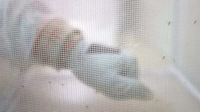 Anwụnta bere na-ụlọmgbochi anwụnta