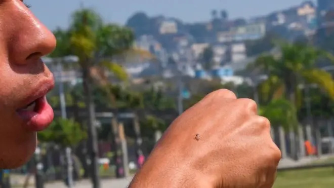 Anwụnta na-ebute ọrịa ịba