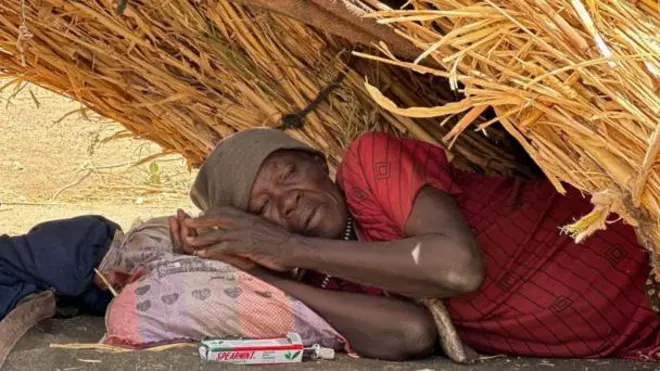 ካብ ዛምዛም ዝሃደሙ ስደተኛታት