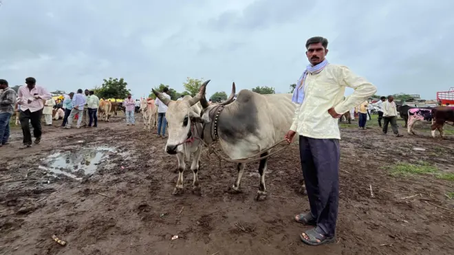 गेवराई बाजार येथे जनावरे विक्रीसाठी घेऊन आलेला एक शेतकरी