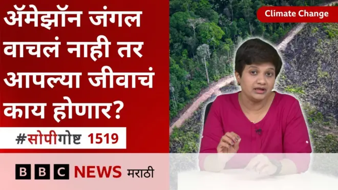 अमेझॉन जंगल 