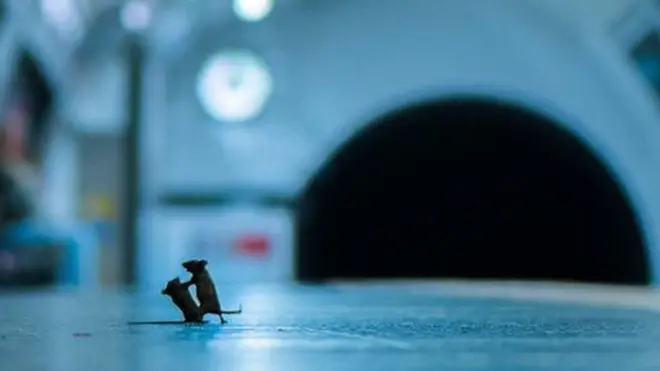 سام راولي قضى خمس ليال مستلقيا على رصيف المترو لالتقاط هذه الصورة