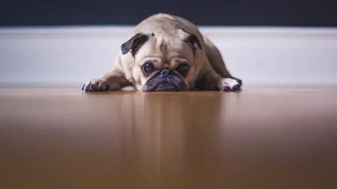 обидно українською