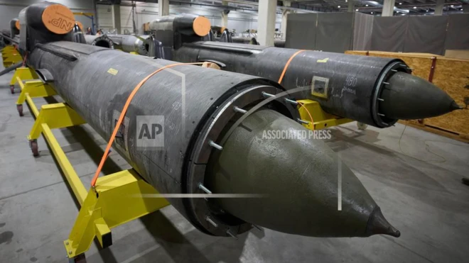 Бойова частина крилатої ракети "Фламінго" 