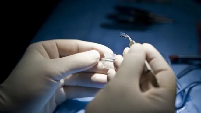 අක්ෂිකාච