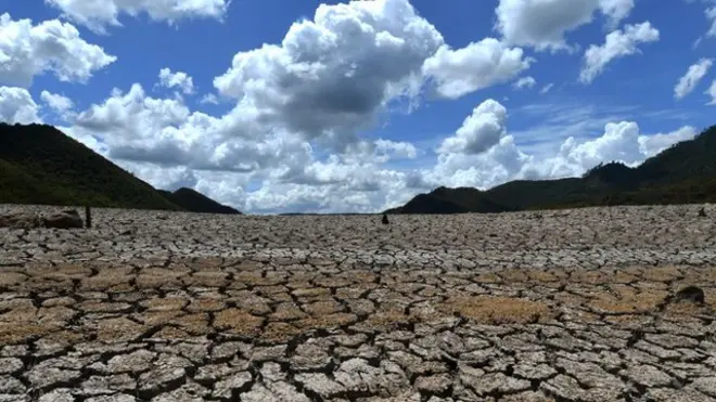 Pantano en Honduras en 2019