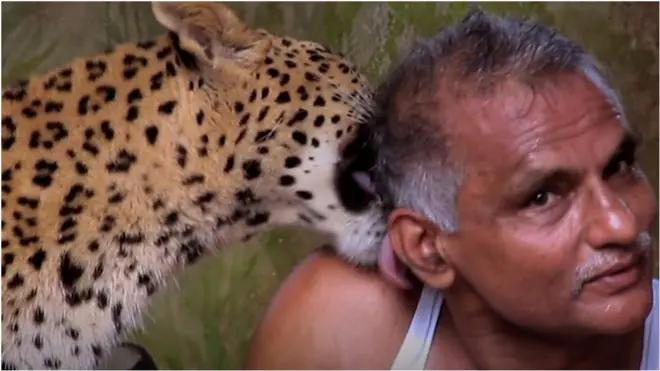 చిరుతతో ఆమ్టే