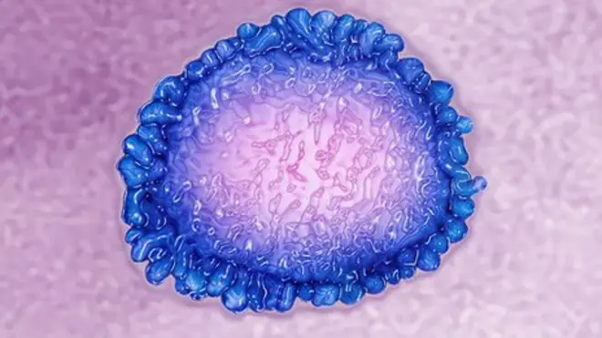 coronavirus