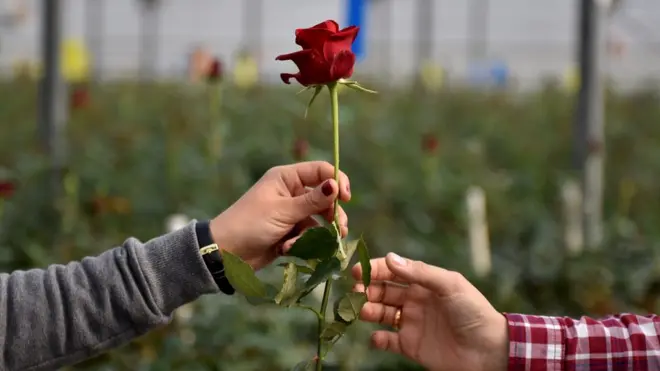 వాలెంటిన్