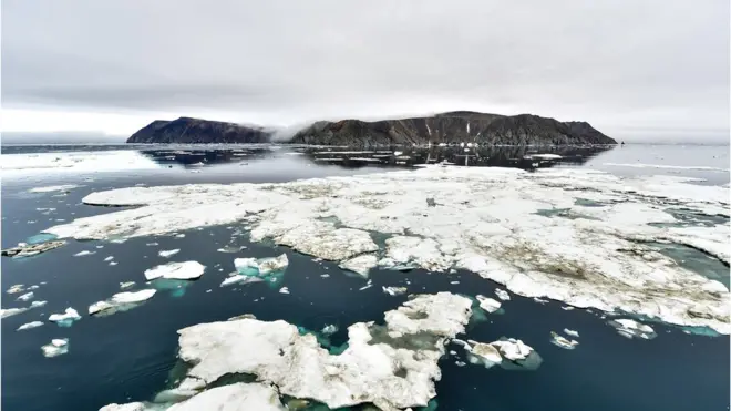 остров врангеля