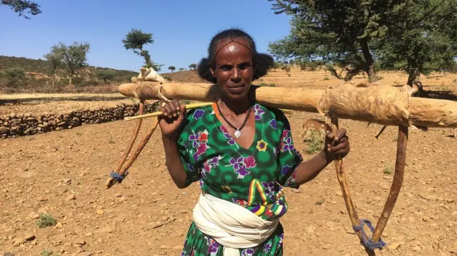 "ኣርዑተይ ፀይረ ገስጊሰ ናብ ግራተይ"