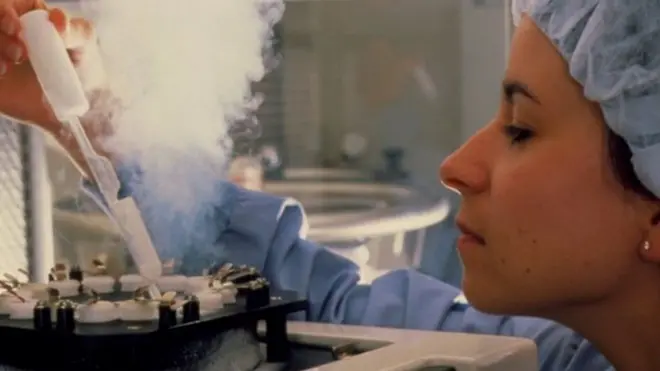 Yumurtalarını donduran kadınlar