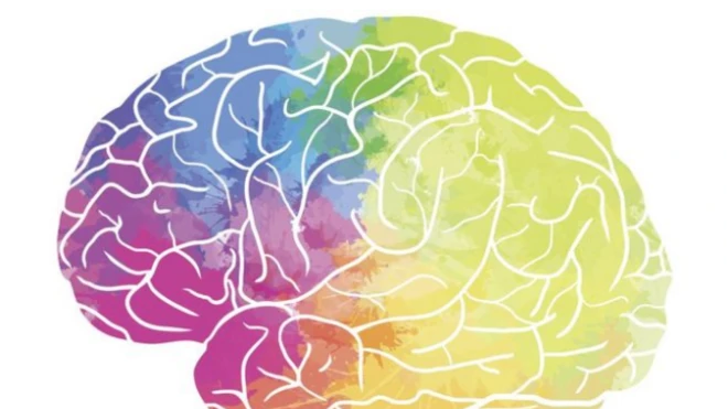 สมอง ความคิดสร้างสรรค์