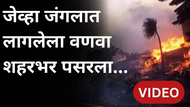 जंगलातील वणवा शहरात पसरला आणि अमेरिकेतल्या लॉस एंजेलिसमध्ये आग लागली
