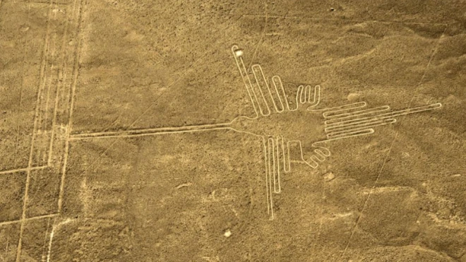 ลายเส้นเก่าแก่ที่คาดว่าเป็นรูปนก Hermit ไม่ใช่นกฮัมมิงเบิร์ดอย่างที่เคยเข้าใจกัน