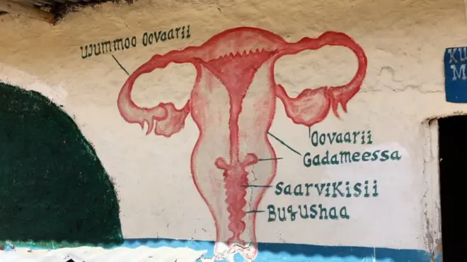 '' Marsaan laguu mallattoo fayyummaati''