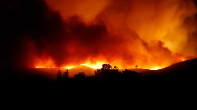 Лісові пожежі