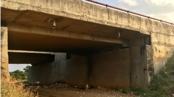 వెటర్నరీ డాక్టరుని దహనం చేసిన ప్రదేశం ఇదే...