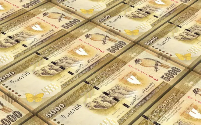 මුදල් නිකුත් කිරීමේ බලය ඇත්තේ ශ්‍රී ලංකා මහ බැංකුවට ය.පද්ධතියට අවශ්‍යතරම් මුදල් සැපයීම ශ්‍රී ලංකා මහ බැංකුවේ වගකීමකි.