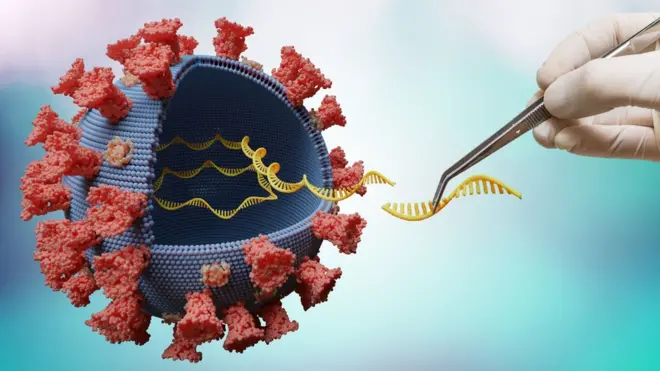 An artistic impression of virus sequencing