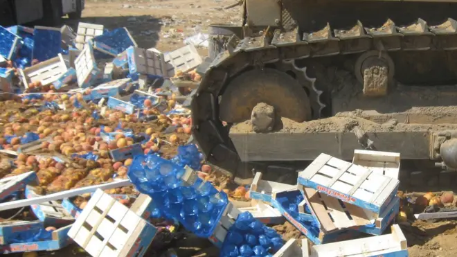 За год в России были уничтожены большие объемы импортных персиков, яблок, груш и других фруктов