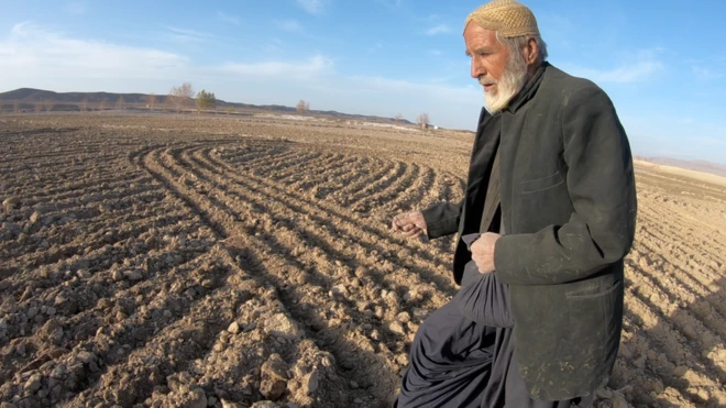 بیج ڈالتے کسان
