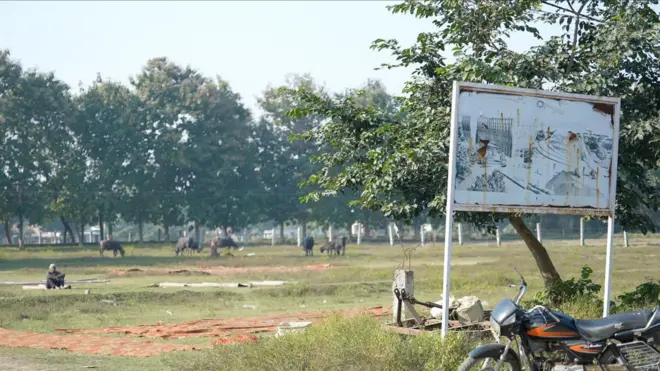 धन्नीपुर गांव में मस्जिद के लिए आवंटित जगह पर लगे बोर्ड पर लगा नक्शा बदरंग हो चुका है. सामने मैदान में कुछ भैंसें चर रही हैं और एक आदमी बैठा है