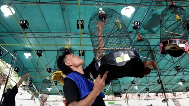 Banyaknya peminat di Indonesia dinilai menyebabkan penyelundupan burung berkicau dari Malaysia terus terjadi.