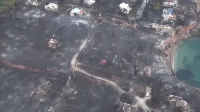 حرائق الغابات