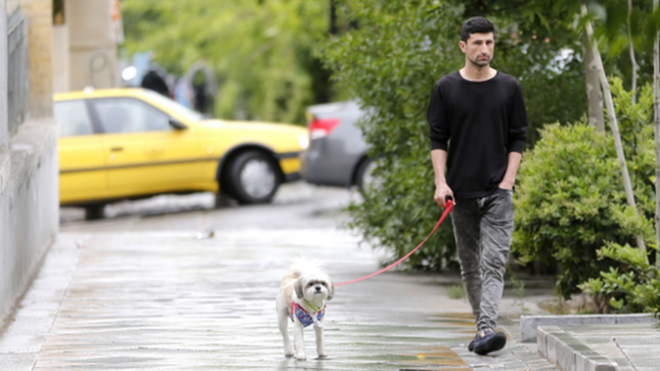 2018年5月，一名男子带狗散步