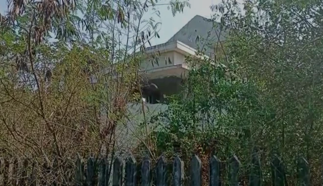 पालघर, माहीम, महिला, बलात्कार