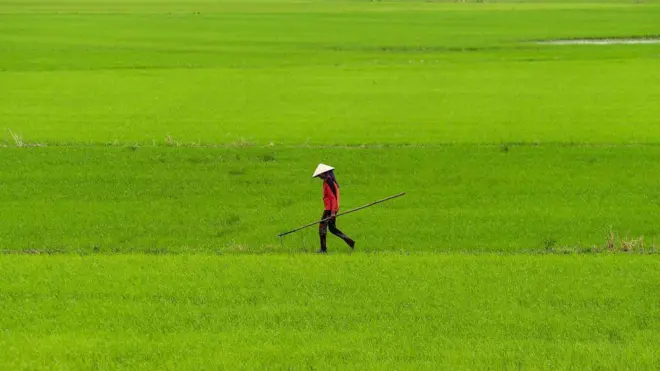 Đồng ruộng