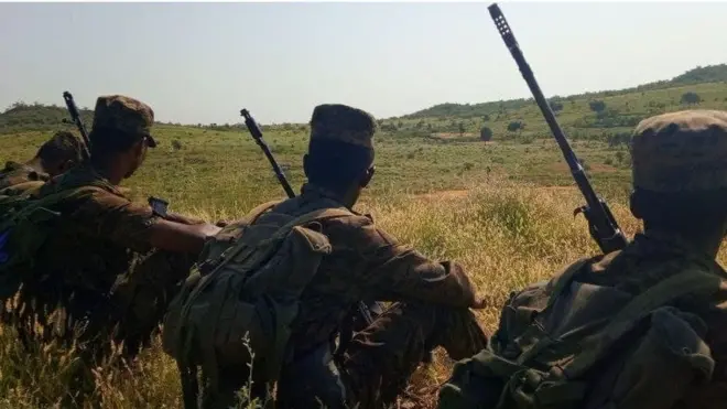 Miseensota Raayyaa Ittisaa Itoophiyaa