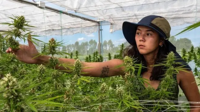 Chidchanok Chidchob.