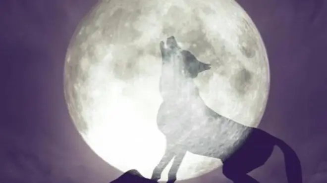 चंद्र ग्रहण