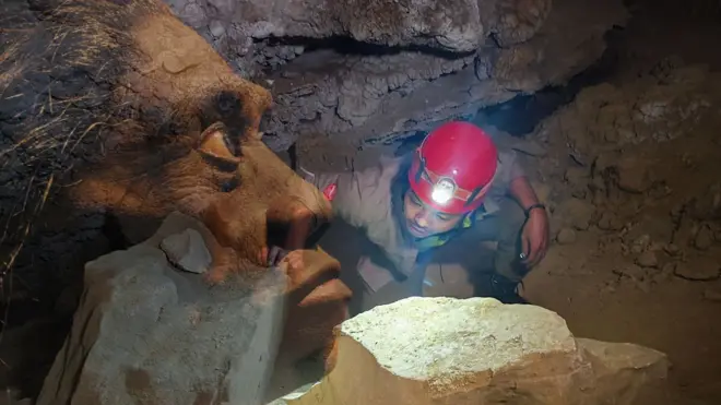 Penelitian arkeologi menemukan indikasi interaksi hominin dan Homo sapiens.