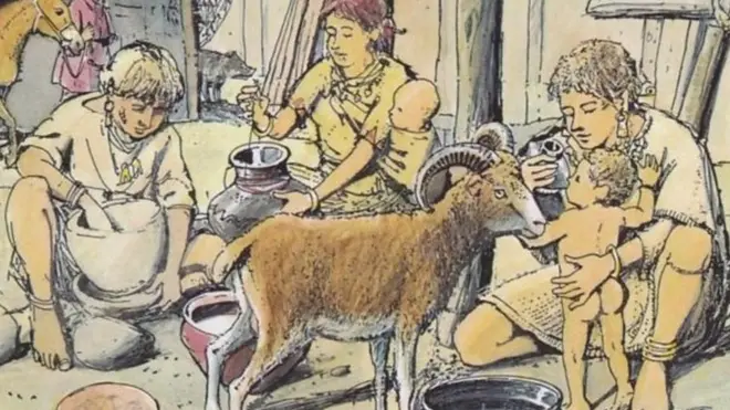 شیر دادن به نوزادان