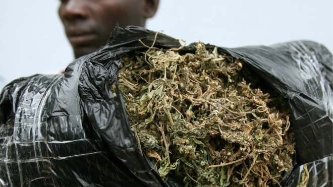 Di industrial cannabis get plenty benefits.