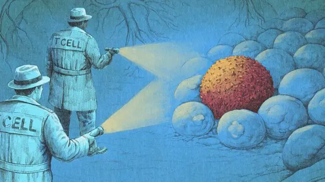 புற்றுநோய் செல்கள் பெரும்பாலும் தங்களைச் சுற்றியுள்ள மற்ற ஆரோக்கியமான செல்களைப் போலவே தோற்றமளிக்கலாம், எனவே அவற்றை அடையாளம் காண நோய் எதிர்ப்பு மண்டலத்திற்குச் சில வழிகாட்டுதல்கள் தேவைப்படலாம்.